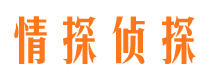 册亨调查公司